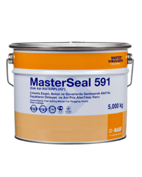 MasterSeal 591